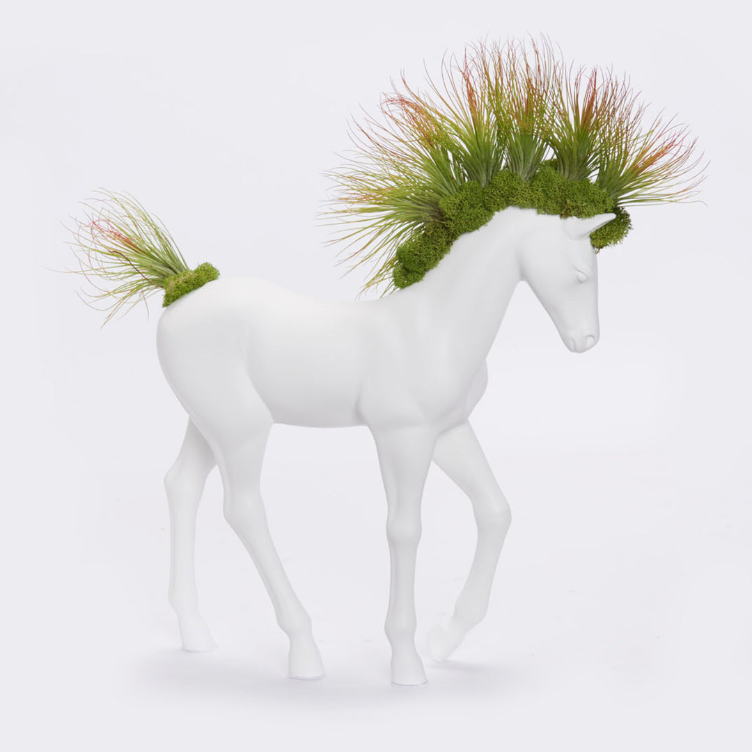 Upcycled Toy Horse Figurine - Small Walking - Andreana Airplants (20" H x 11" W)