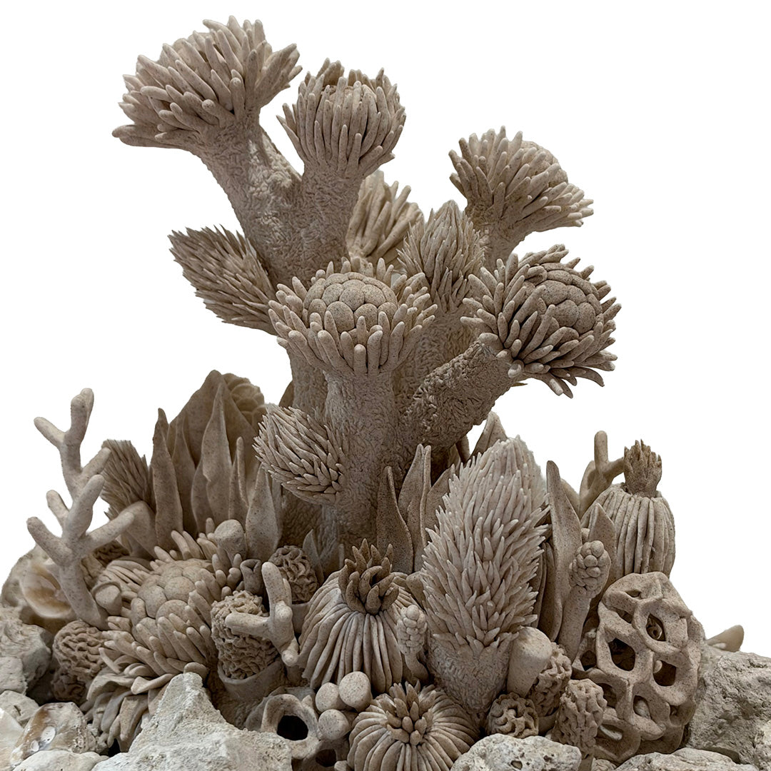 Garden of the Sea by Florencia Echeverria