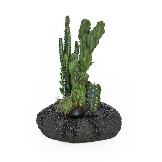 Ceramic Circle Black Cactus Garden