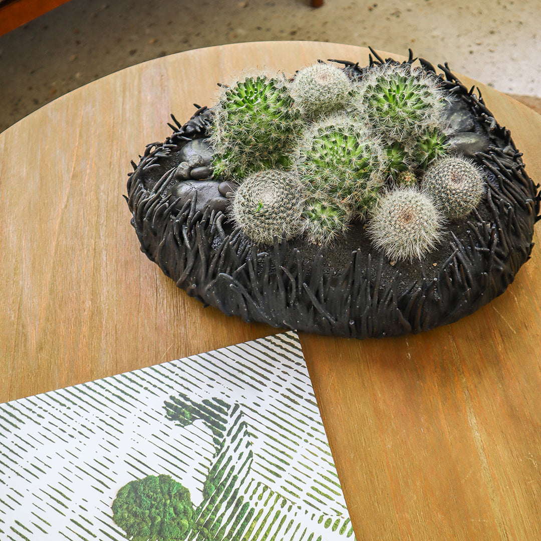 Ceramic Nest Black Cactus Low Garden