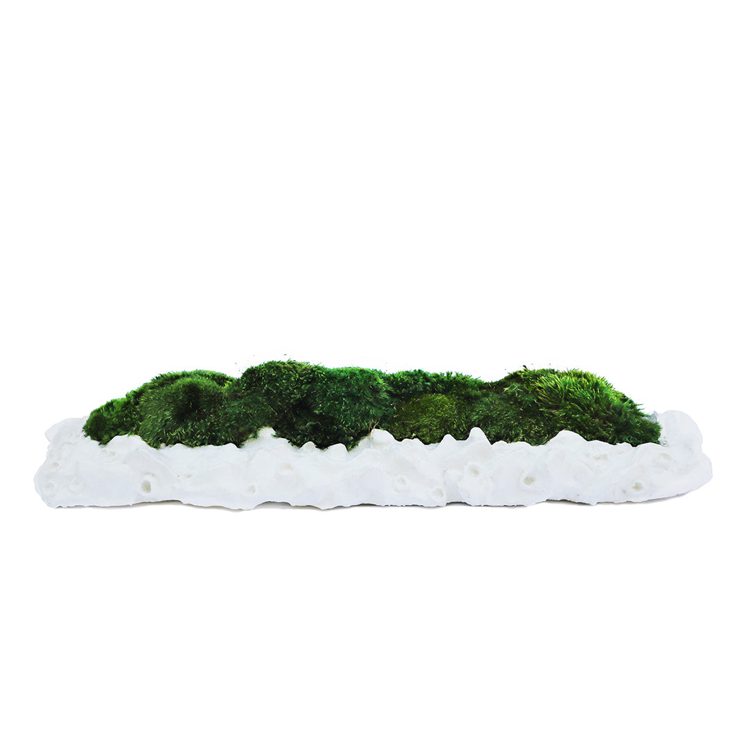 Julieta Teppa - One of a Kind White No.8 Trough Moss