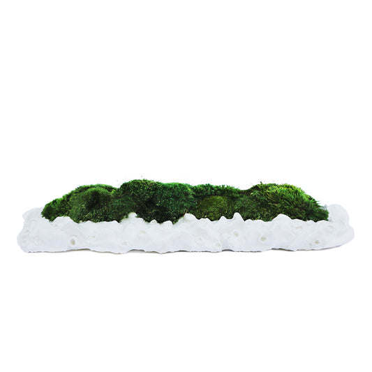 Julieta Teppa - One of a Kind White No.8 Trough Moss