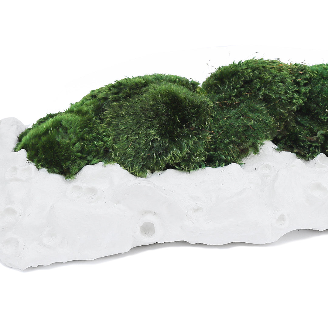 Julieta Teppa - One of a Kind White No.8 Trough Moss