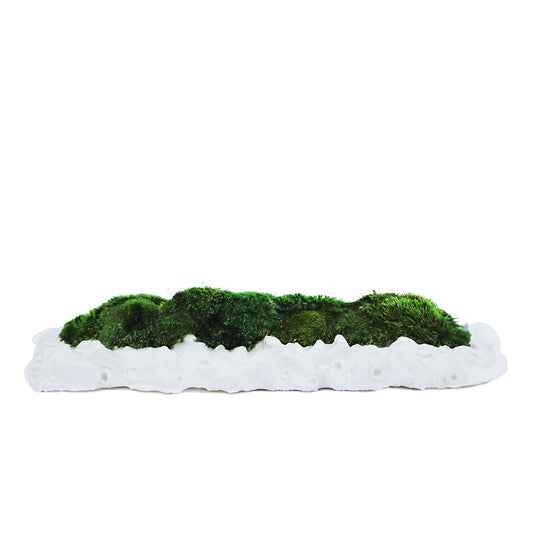 Julieta Teppa - One of a Kind White No.8 Trough Moss