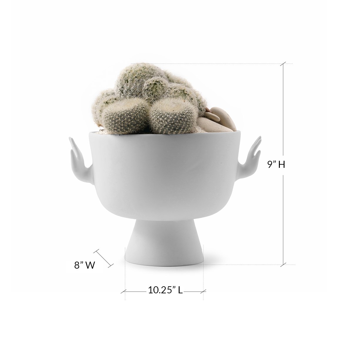 Jonathan Adler - Eve Pedestal Bowl Moss I Plant the Future