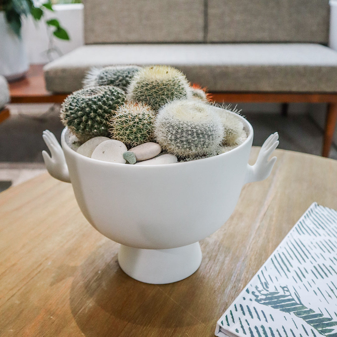 Jonathan Adler - Eve Pedestal Bowl Moss I Plant the Future