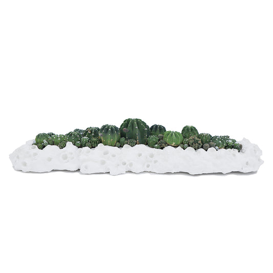 Julieta Teppa - One of a Kind White No.7 Trough Cacti