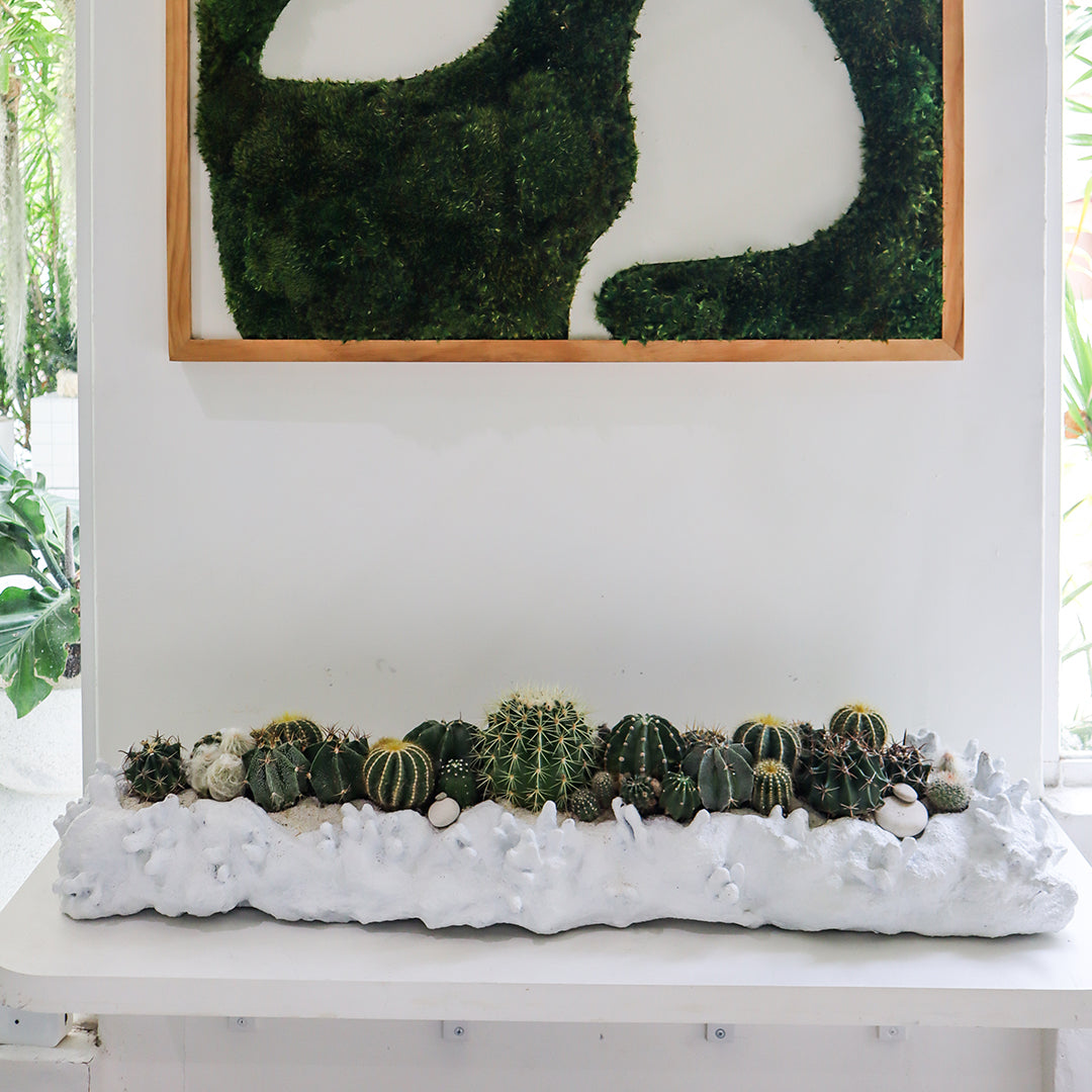 Julieta Teppa  - One of a Kind Coralium Papier-Mâché White No.4 Trough Cactus
