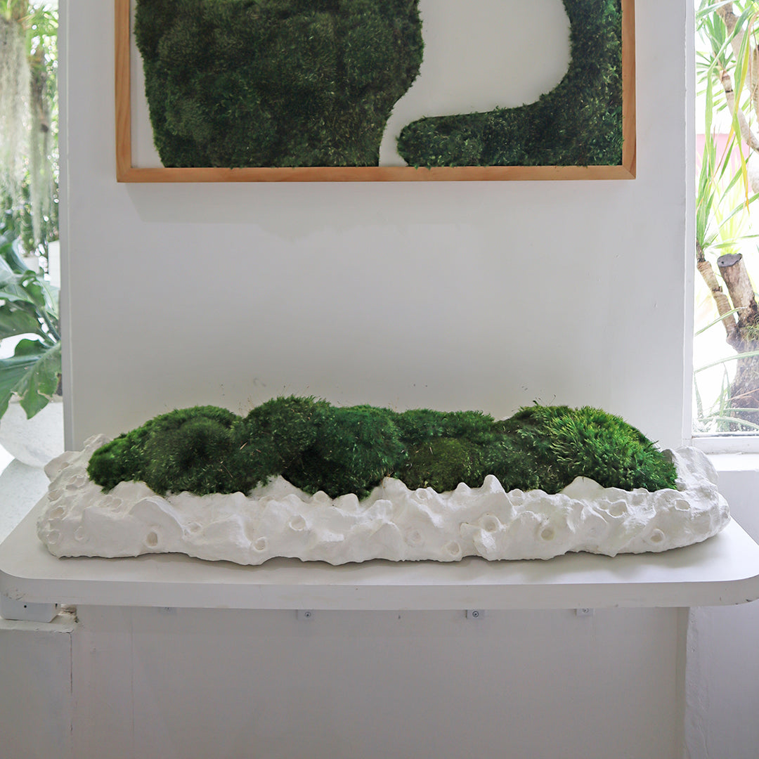 Julieta Teppa - One of a Kind White No.8 Trough Moss