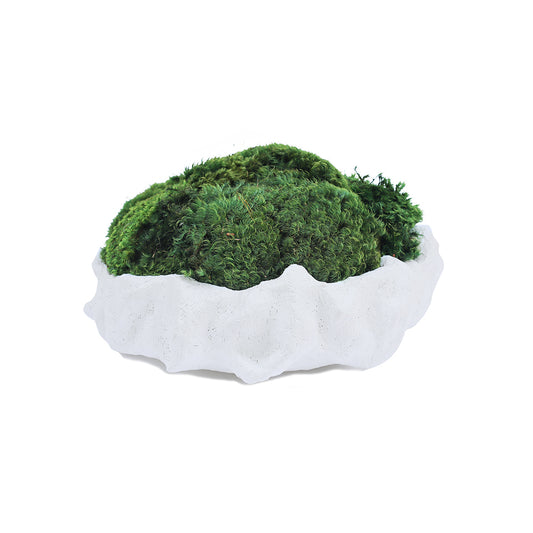 Julieta Teppa - One of a Kind White No.9 Round Moss