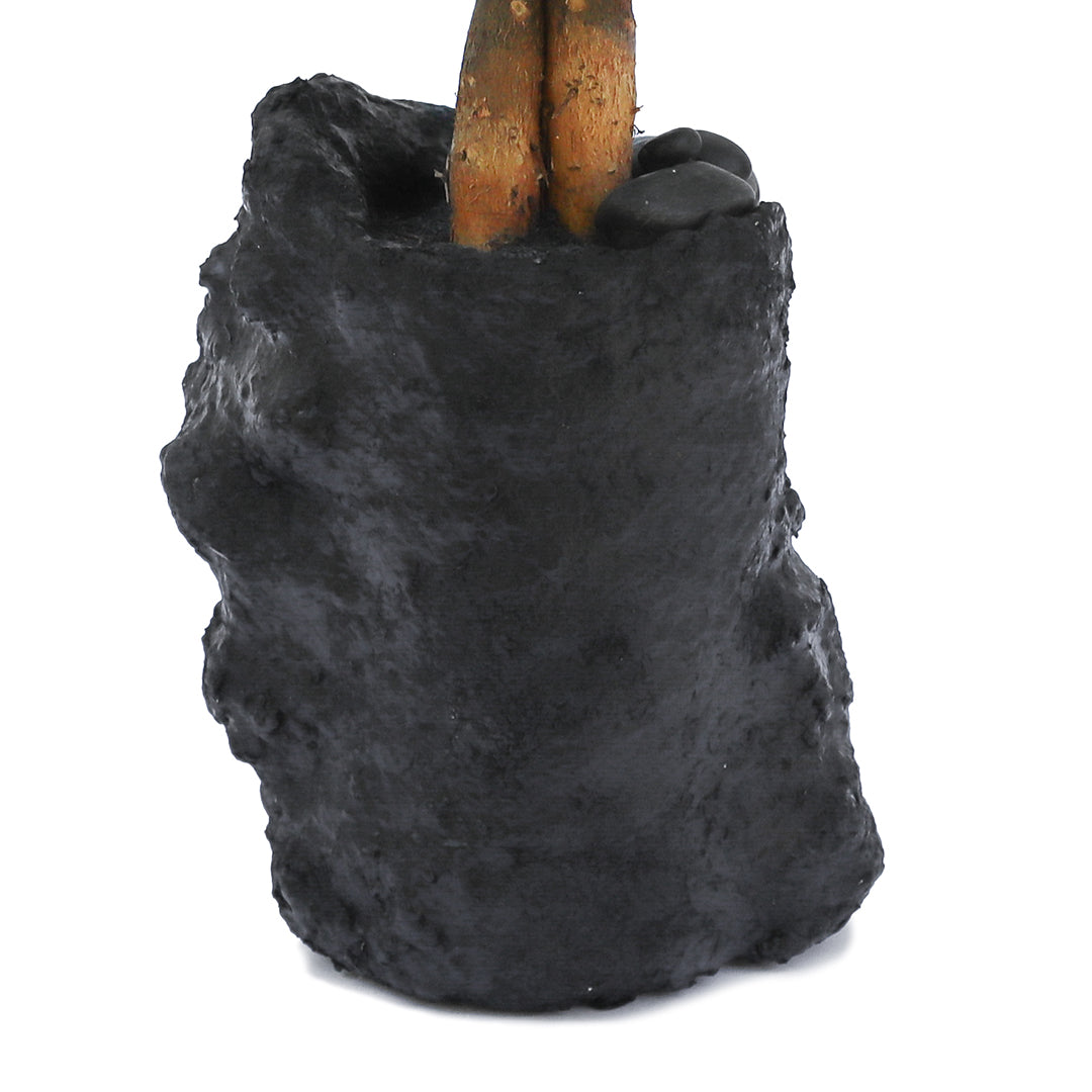 Julieta Teppa - One of a Kind Black No.1 Money Tree
