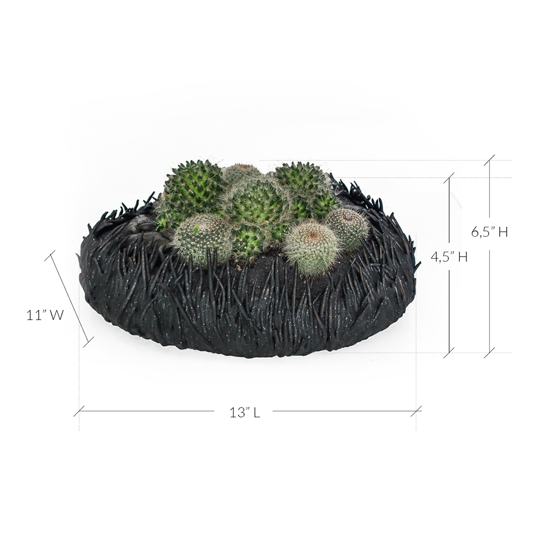 Ceramic Nest Black Cactus Low Garden
