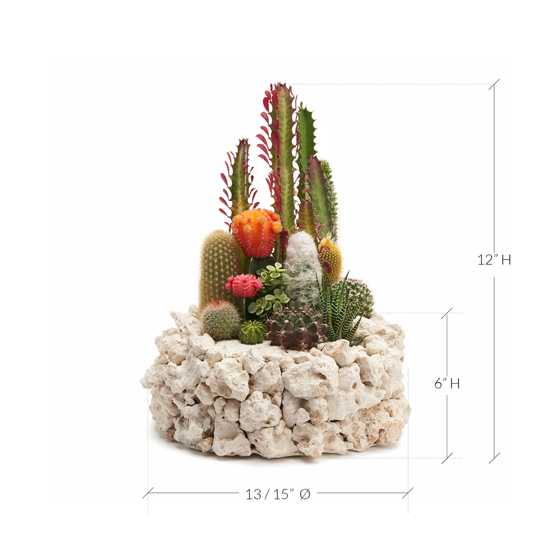 Keystone Garden 15"