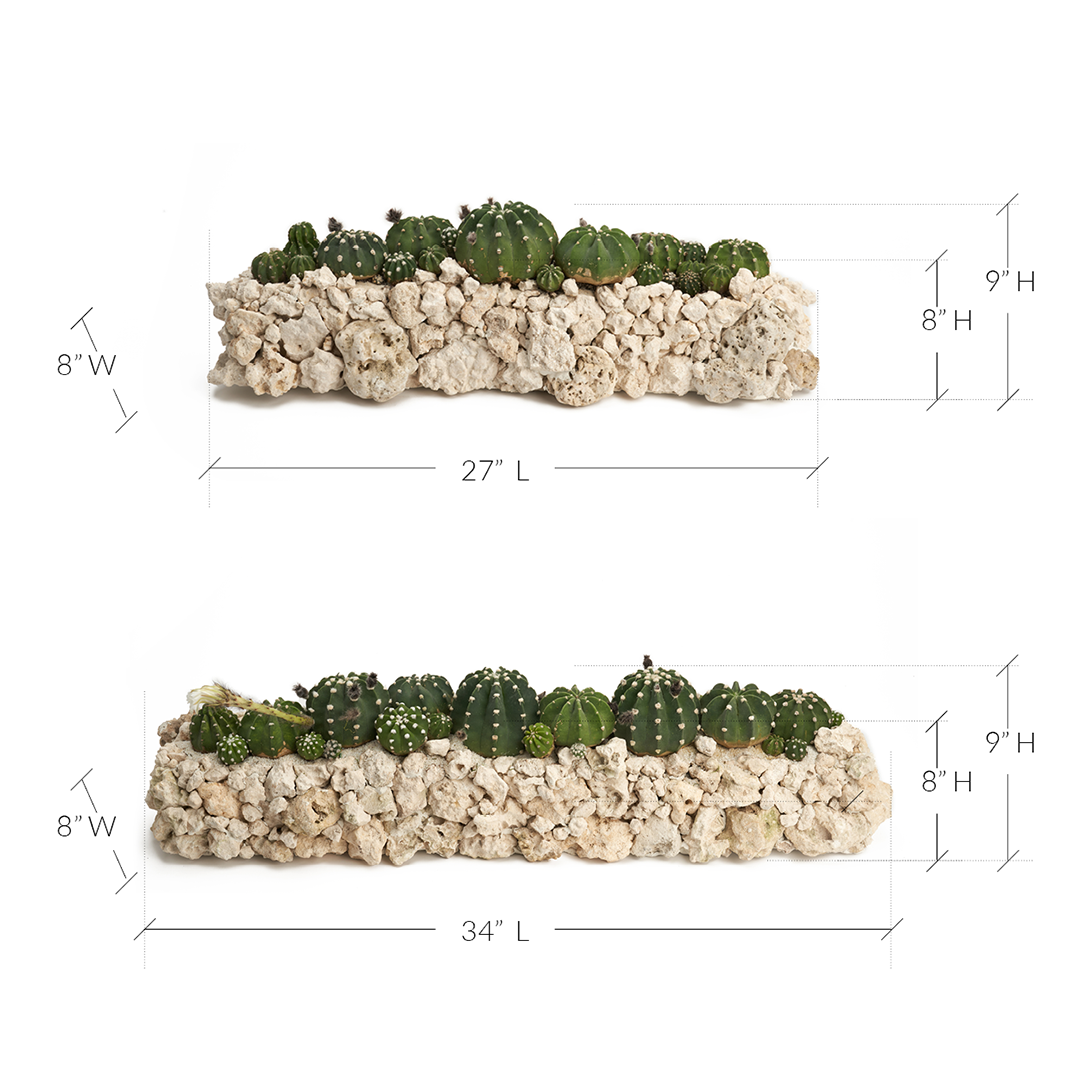 Keystone Trough - Cactus Garden