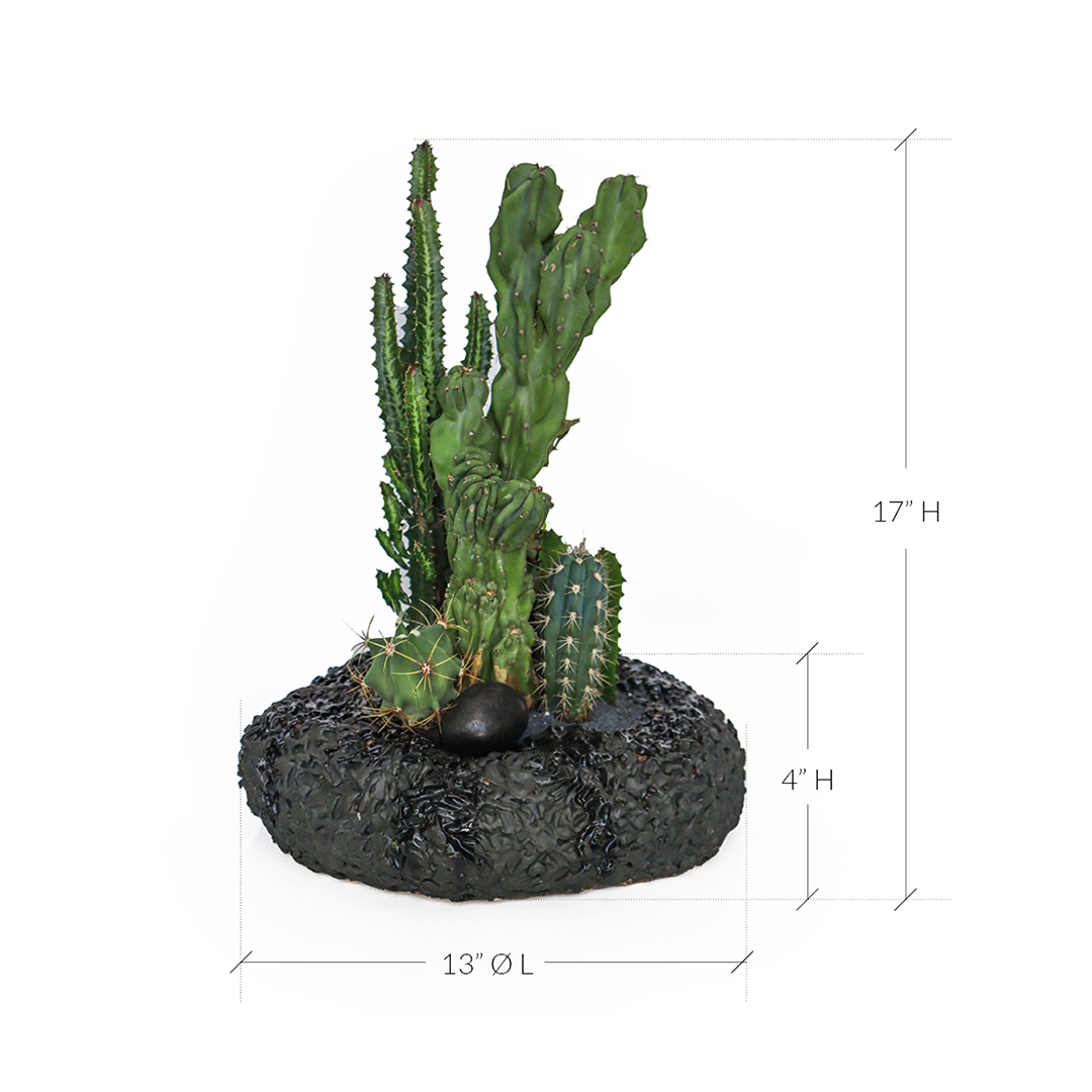 Ceramic Circle Black Cactus Garden