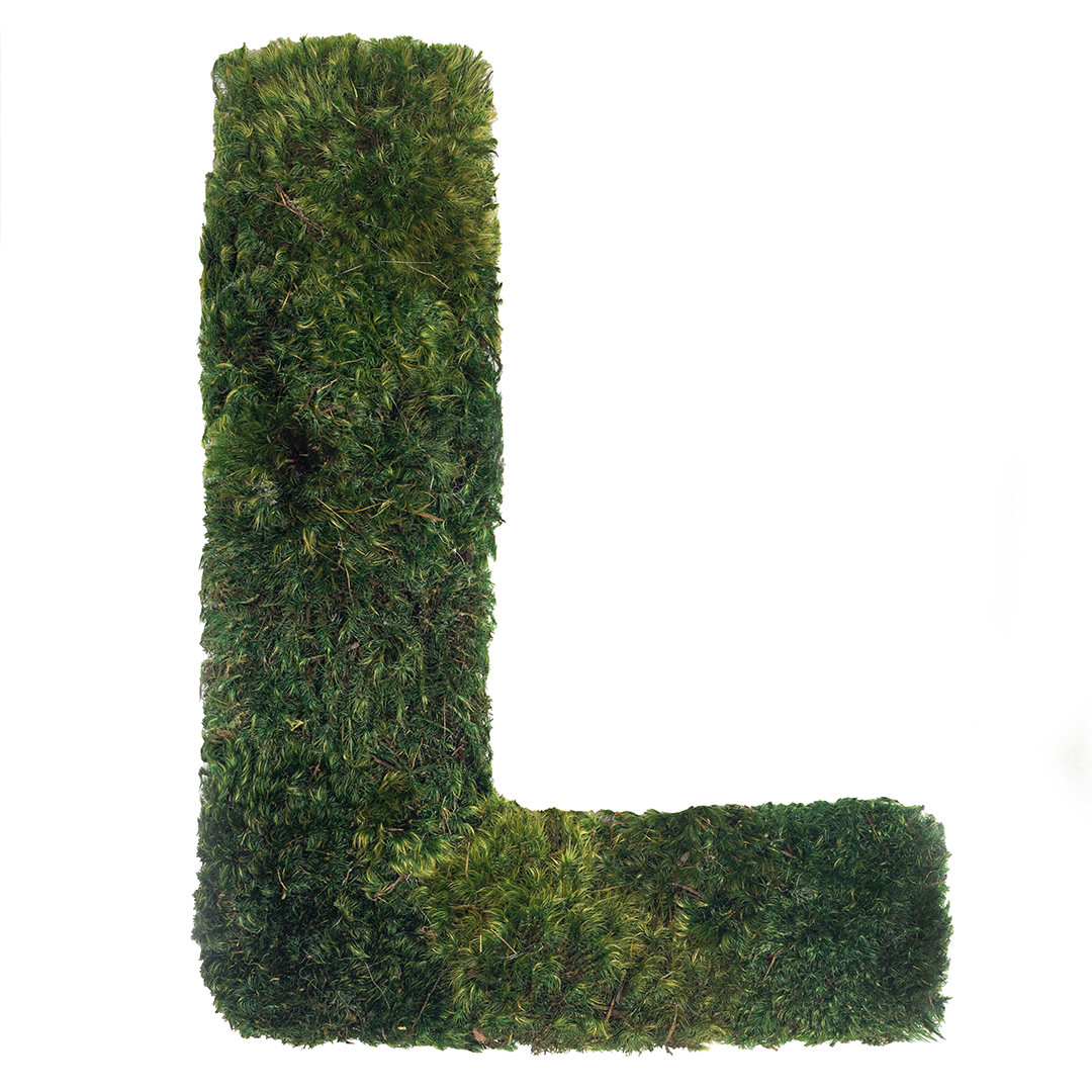 Moss Sign - "Love" Block