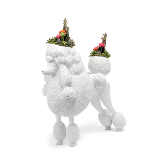 Life Size Animal - Poodle