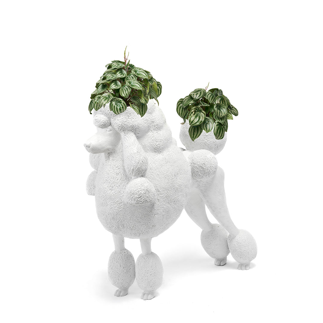 Life Size Animal - Poodle