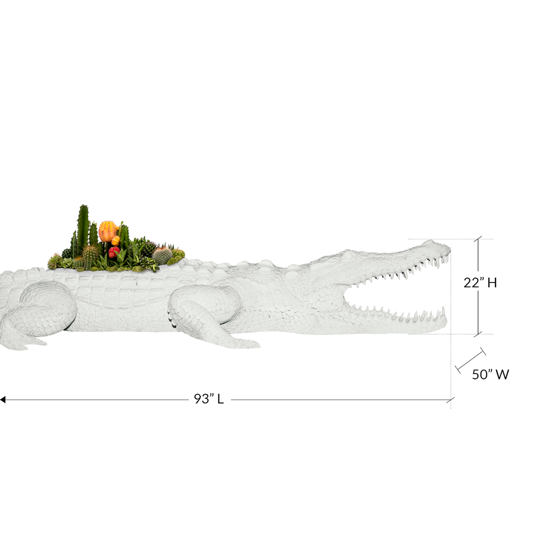 Life Size Animal - Crocodile Large