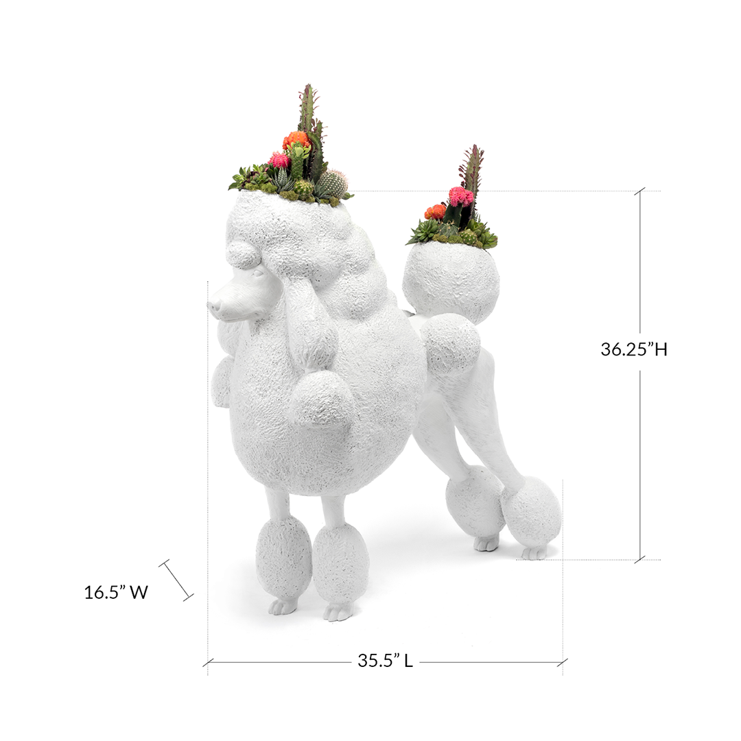 Life Size Animal - Poodle