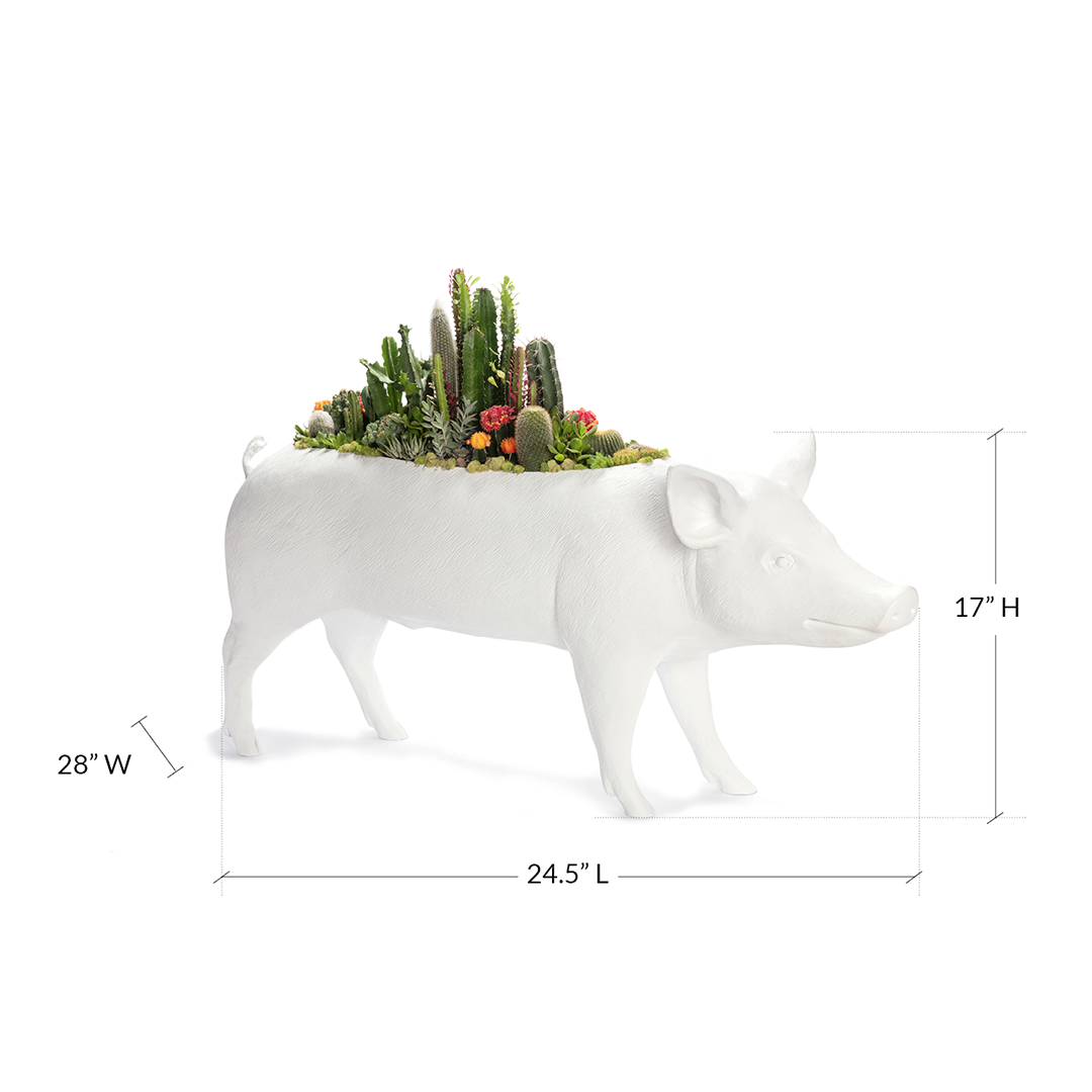 Life Size Animal - Pig