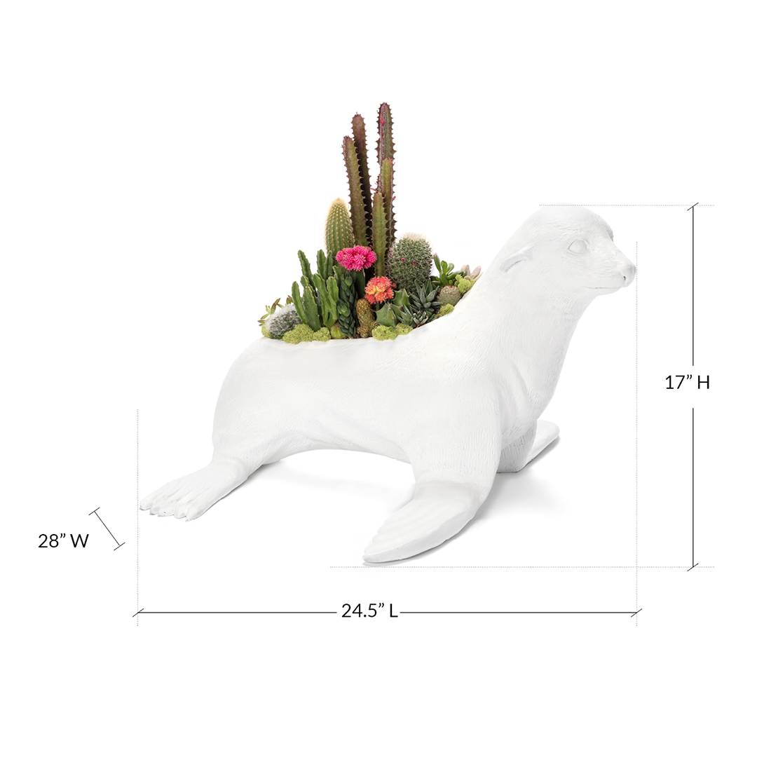 Life Size Animal - Seal
