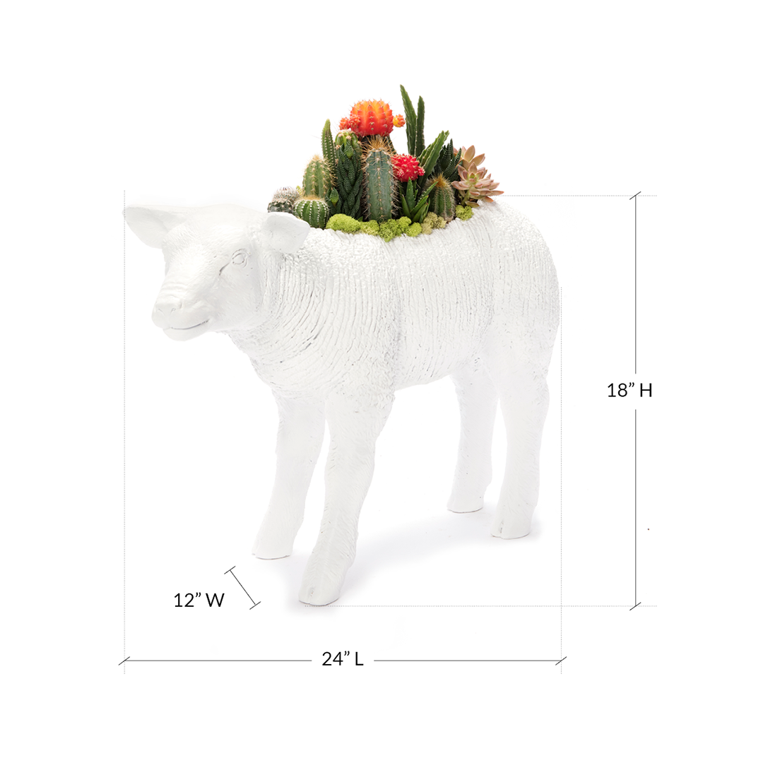 Life Size Animal - Lamb
