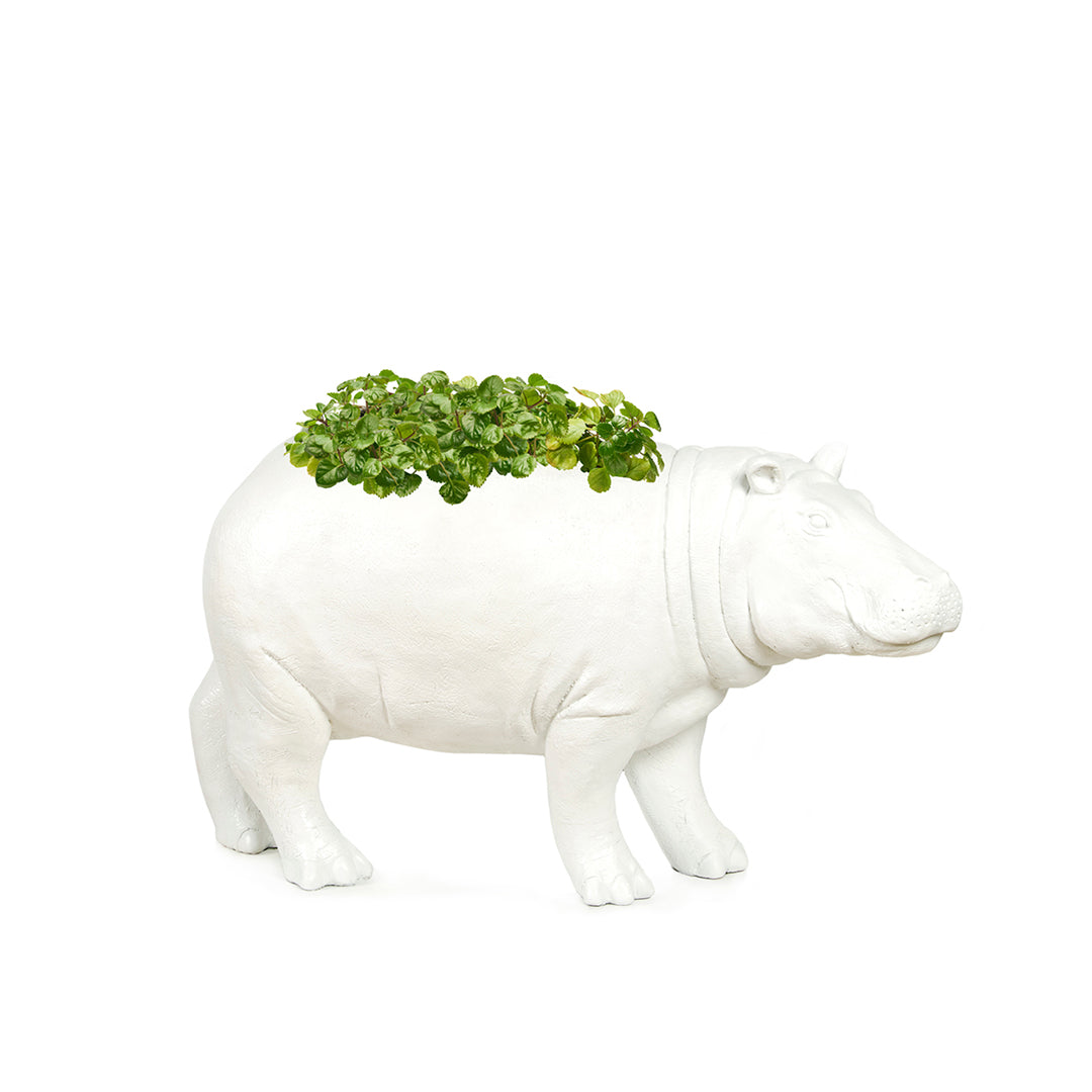 Life Size Animal - Hippo