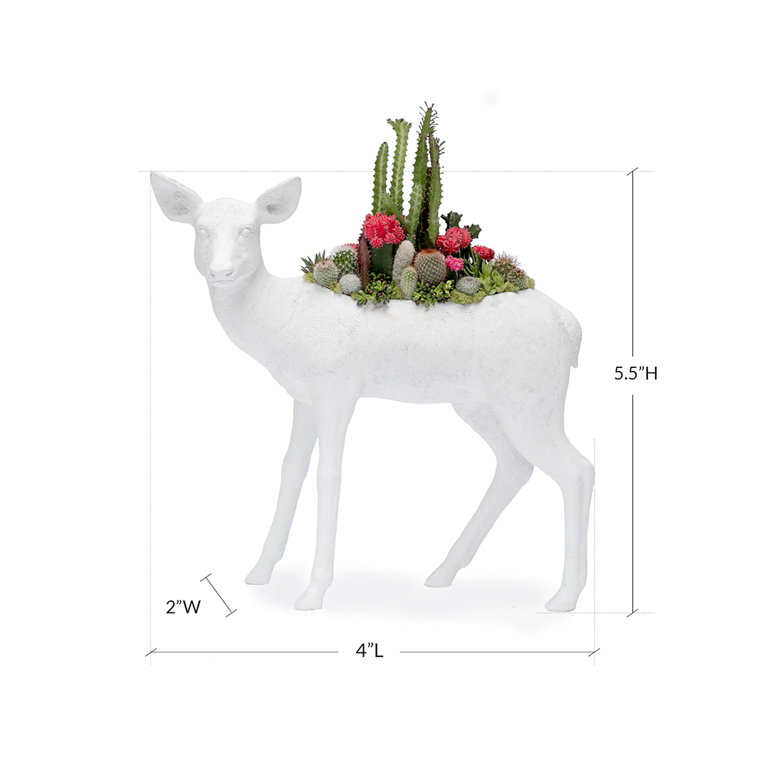 Life Size Animal - Deer