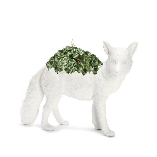 Life Size Animal - Fox