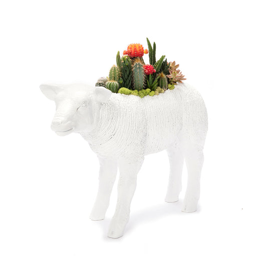 Life Size Animal - Lamb