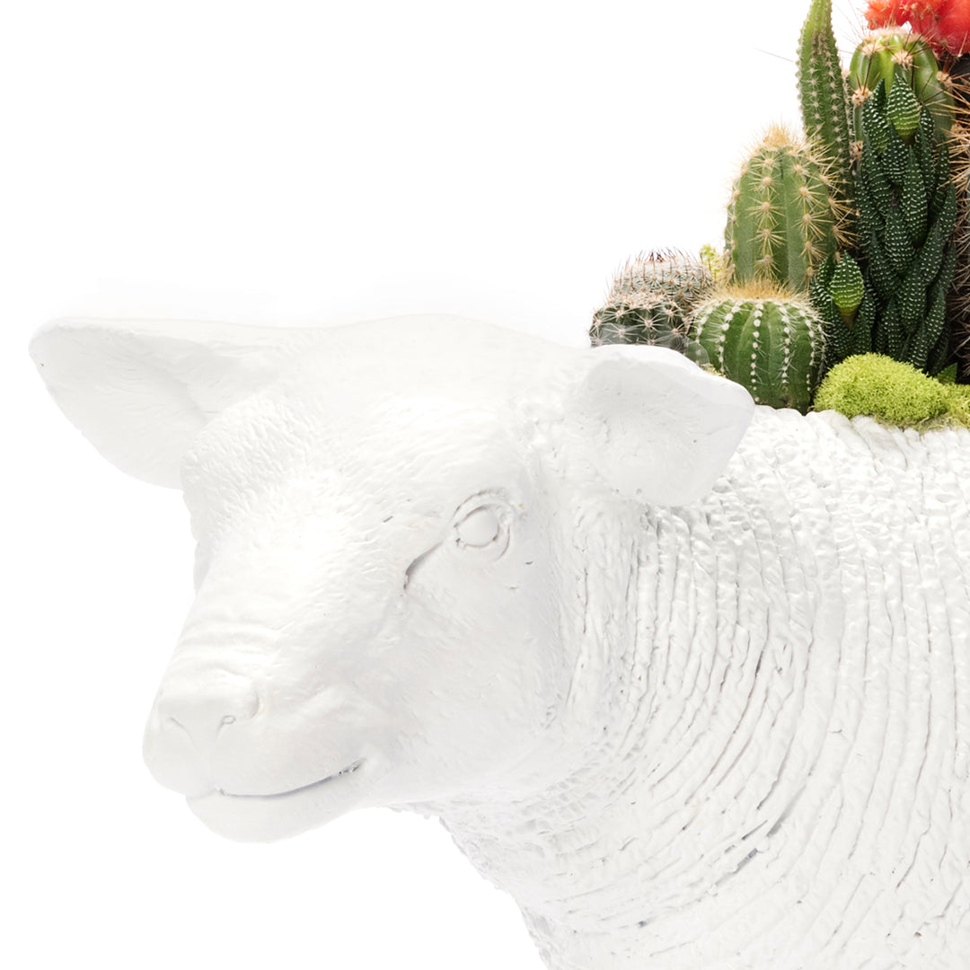 Life Size Animal - Lamb