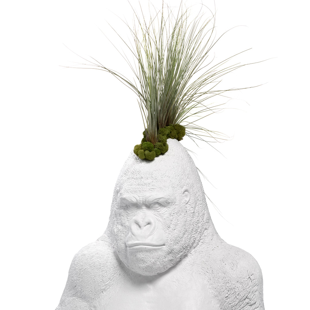 Life Size Animal - Rebel Ape