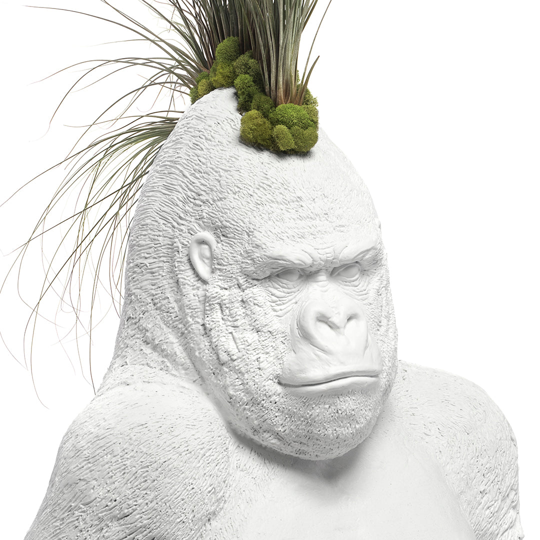Life Size Animal - Rebel Ape