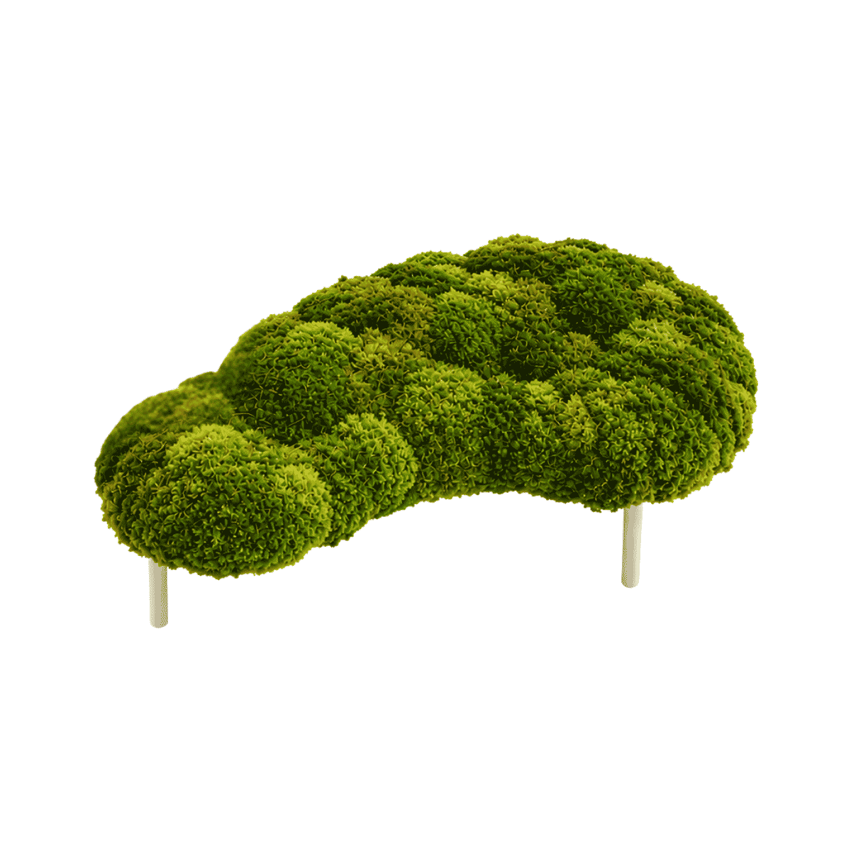 Moss Bean Small by Paloma Teppa | Plant the Future