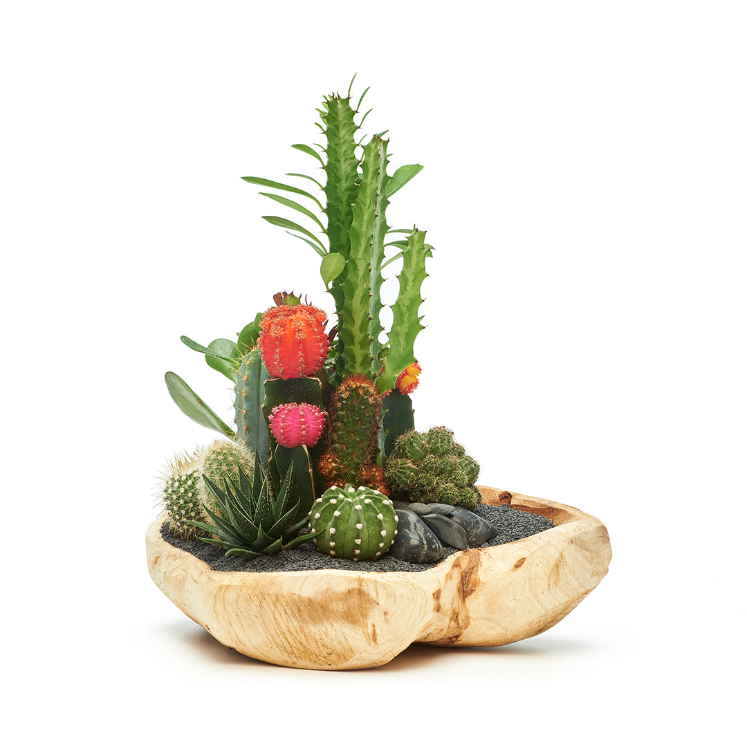 Natural Wood Bowl - Rainbow Garden