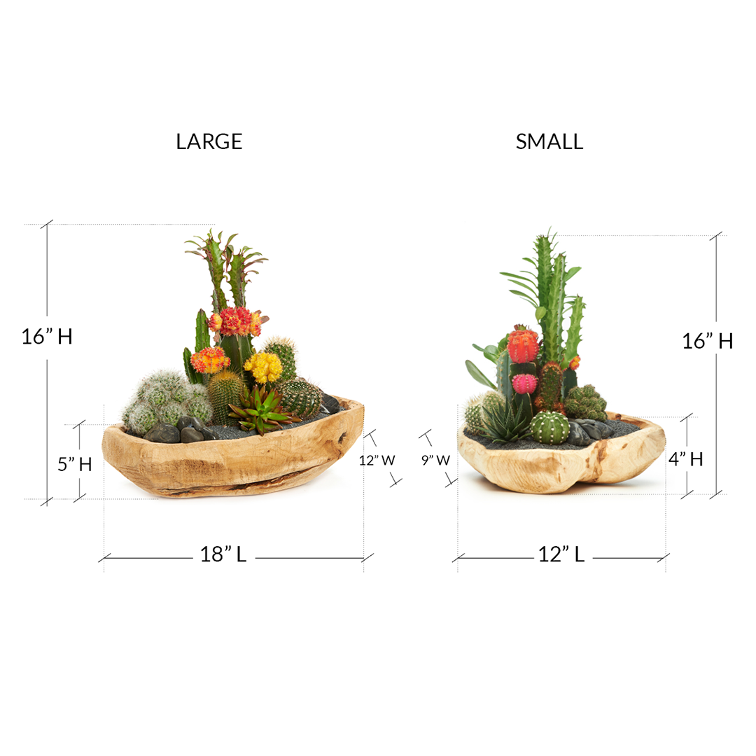 Natural Wood Bowl - Rainbow Garden