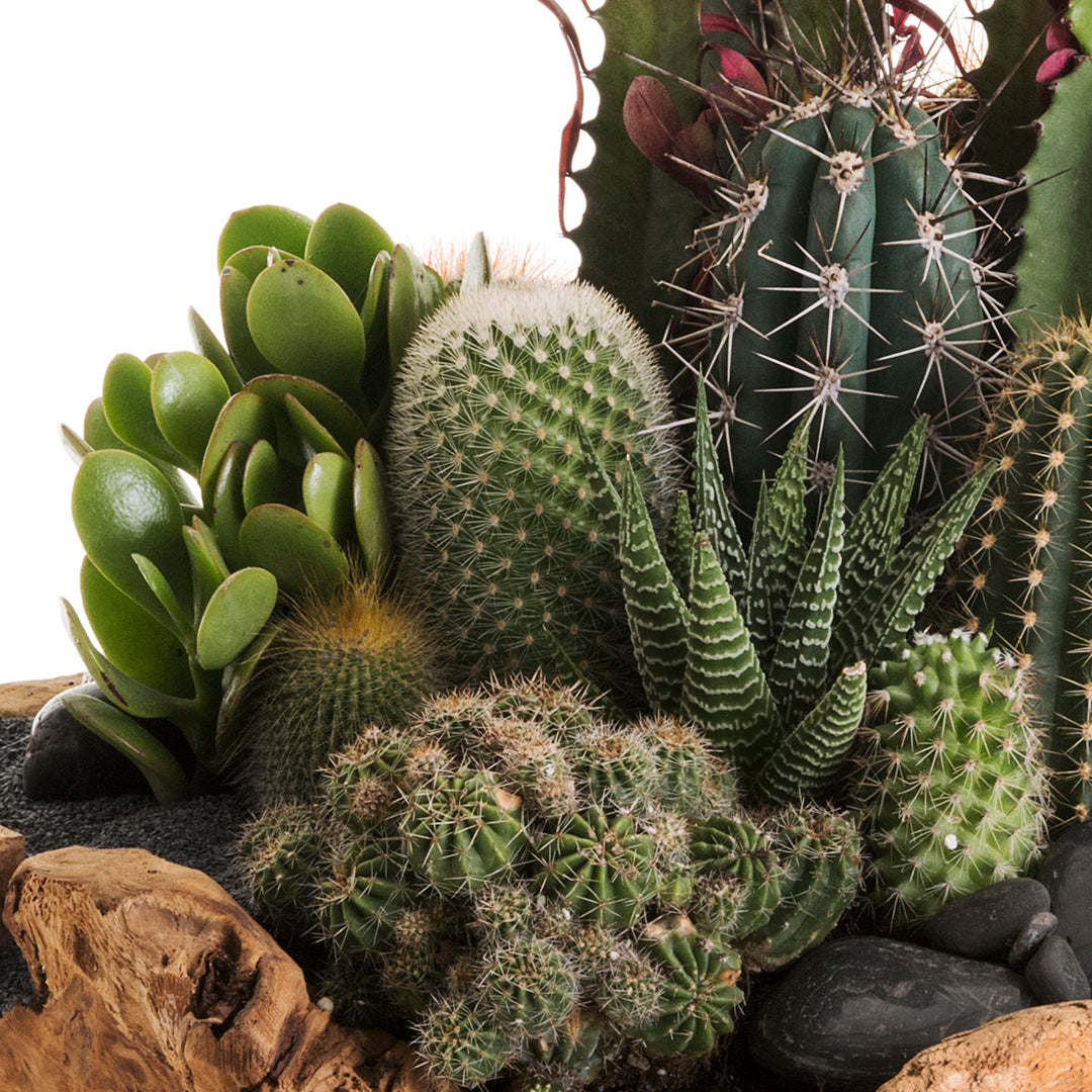 Natural Wood Bowl - Green Garden