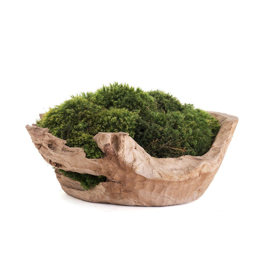 Natural Wood Low Bowl with Moss