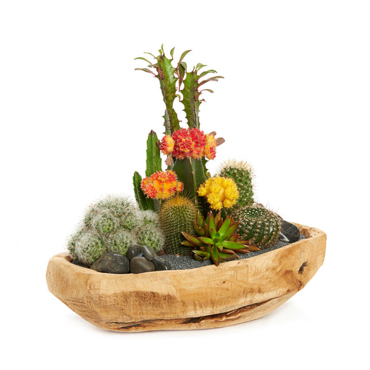 Natural Wood Bowl - Rainbow Garden