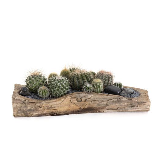 Natural Wood Trough - Low Green Garden