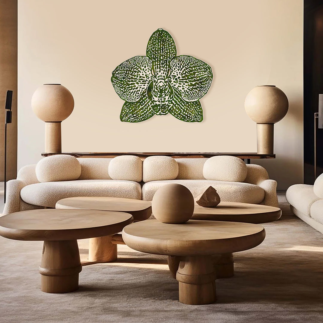 “Phaleanopsis” (2024)