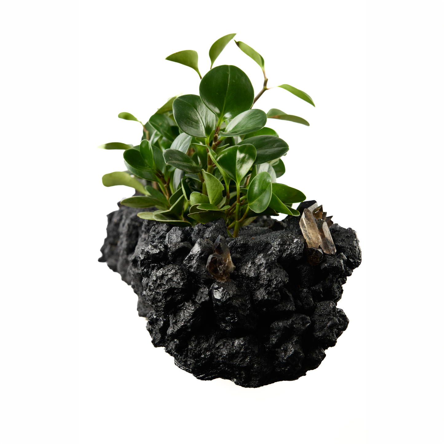Black Keystone Trough w/ Smoky Quartz with Foliage PLANT THE FUTURE