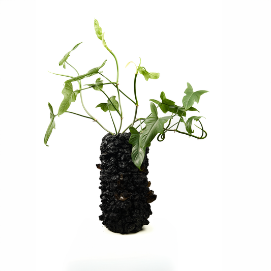Handmade Keystone Vase Large - Black with Foliage W/Smoky Crystal PLANT THE FUTURE