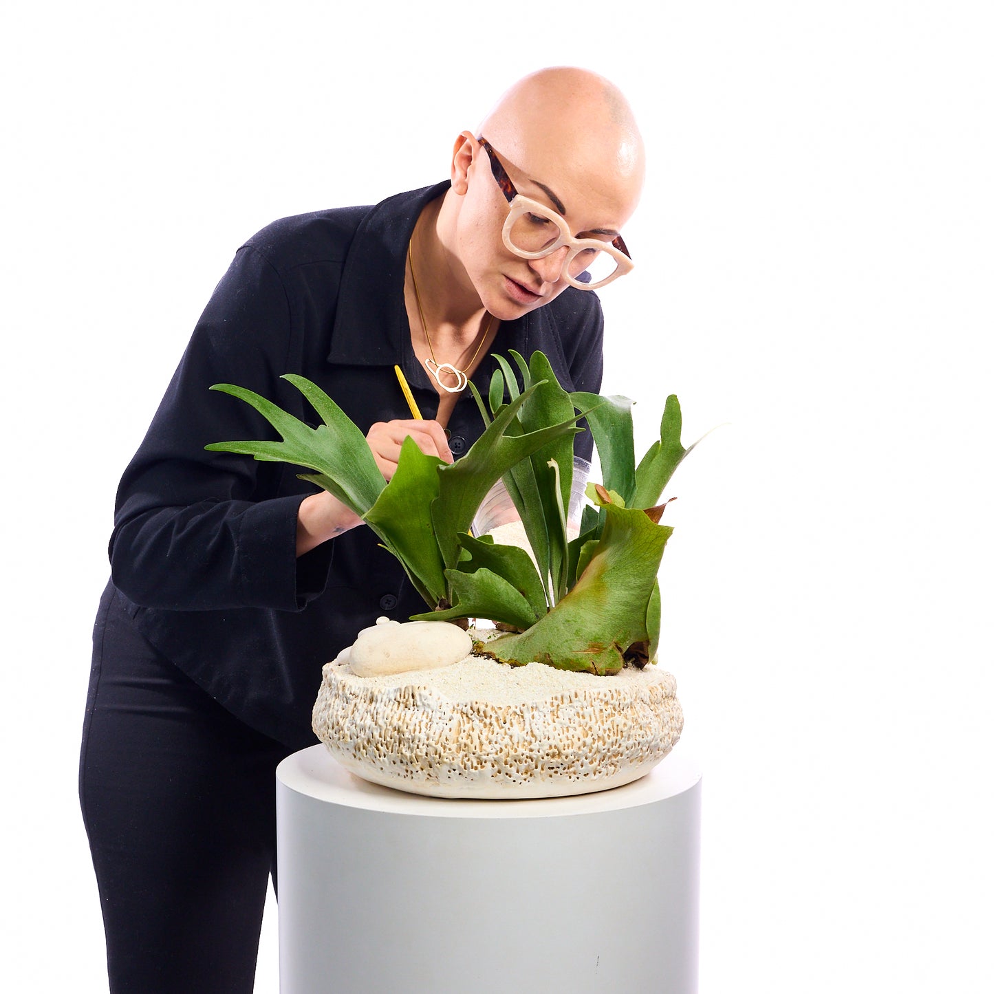Handmade Ceramic - Chu Collection - Foliage Plant The Future