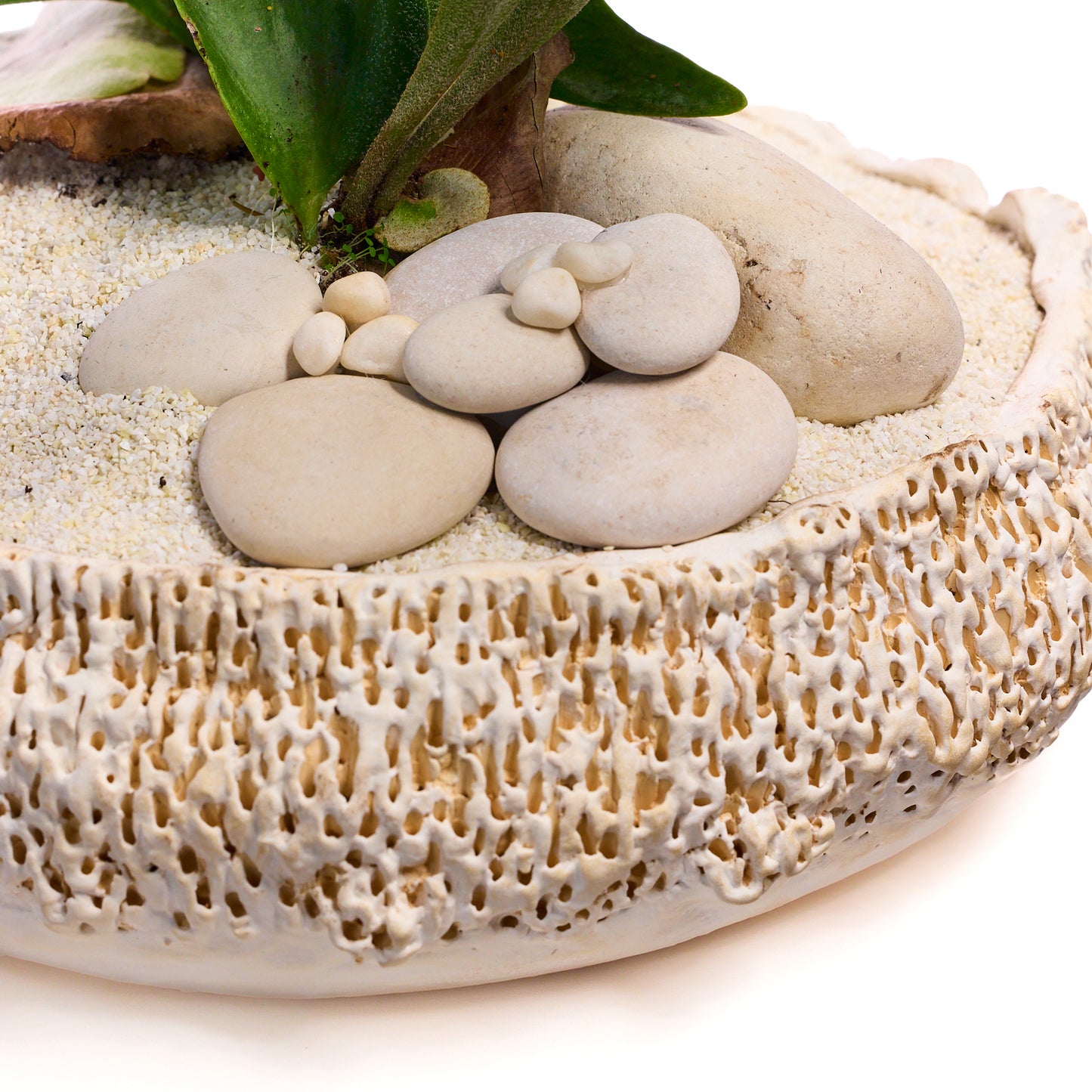 Handmade Ceramic - Chu Collection - Foliage Plant The Future
