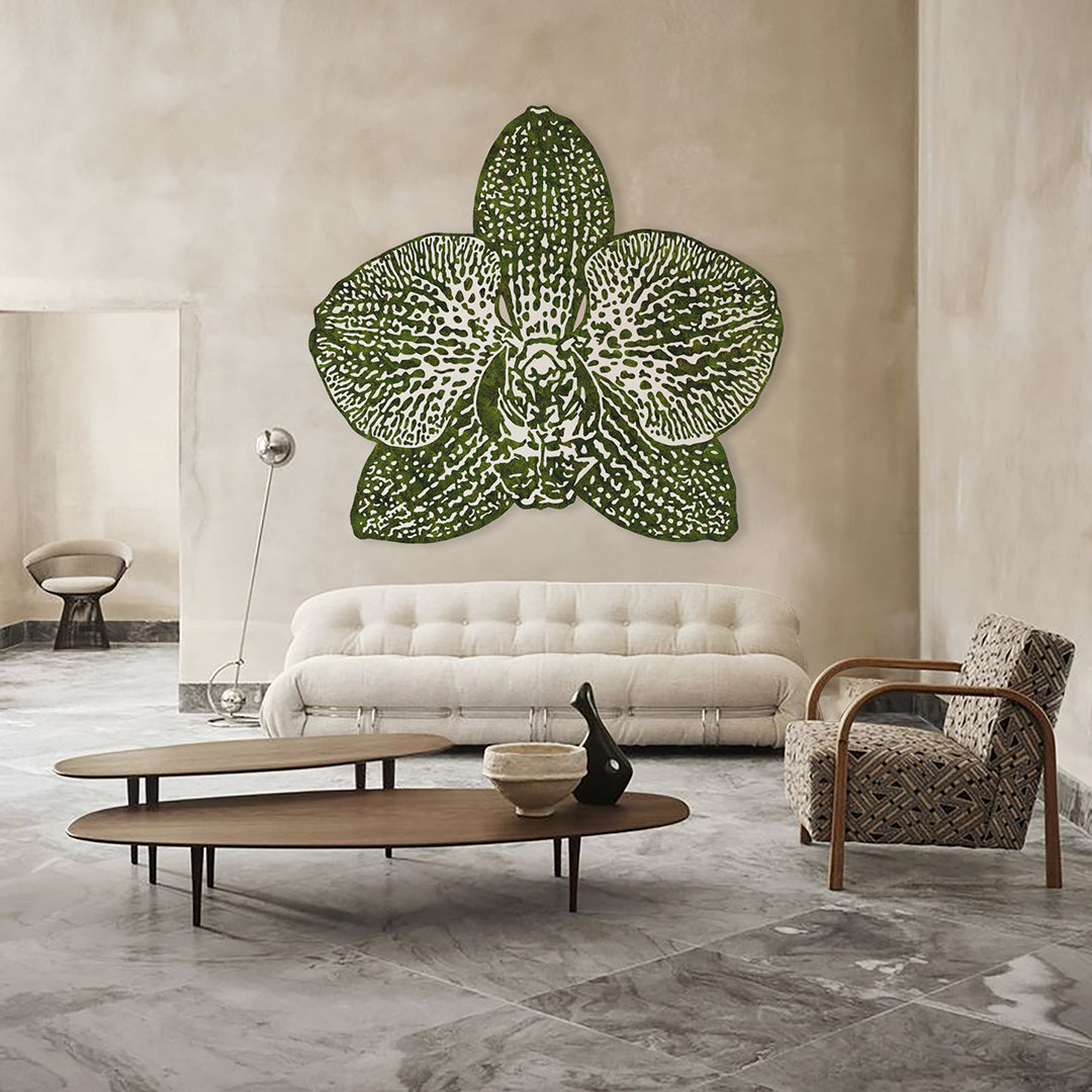 “Phaleanopsis” (2024)
