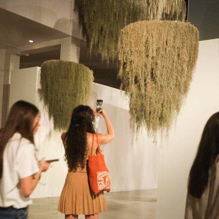 Spanish Moss Hanging Garden  - 3 Tier