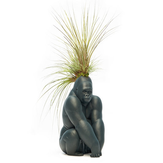 Lladró Porcelain - Black Gorilla With Airplants