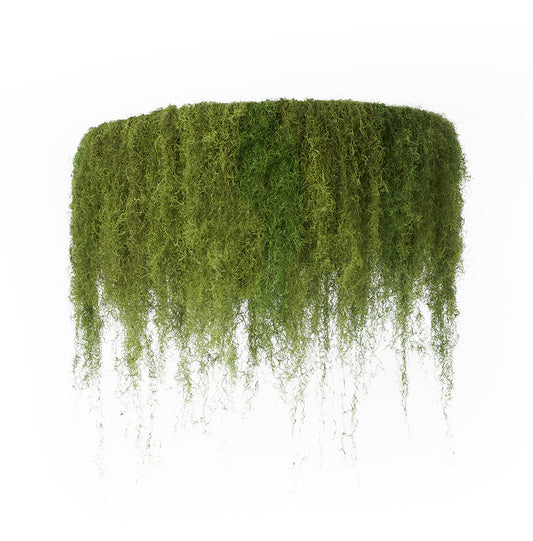 Spanish Moss Hanging Garden - 1 Tier